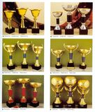 Sports Trophy