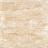 New Arrival Porcelain Tile Wall Tile Construction & Decoration (YQ10095)