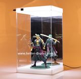 Custom Acrylic LED Shoe Box Light