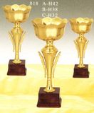 Sports Trophy