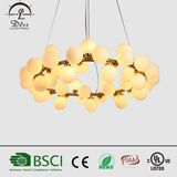 Dlss Hotel and Living Room Decoration LED Lighting Chandelier
