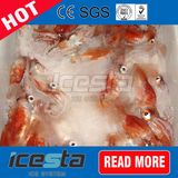 Easy to Operation Slurry Ice Machine 3 Tons/Day (SF30)