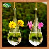 Hanging Glass Vase Home Decor Vase