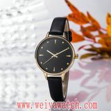 Fashion Leather Strap Quartz Ladies Wrist Watches (Wy-17028B)