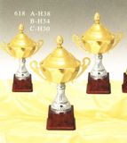 Sports Trophy