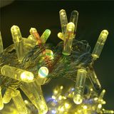 220V 10m 100LED Outdoor Use Professional LED Christmas String Lights