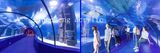 Large Acrylic Aquarium/Huge Aquarium/Large Aquarium Decorations
