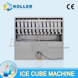 China Ice Cube Making Machine Factory 4T/D
