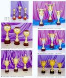 Sports Trophy