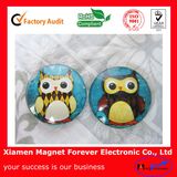 Cute Glass Fridge Magnet for Gift