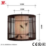 New Steel Pendant Lamp 2f-Dl-06