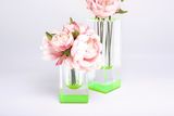 Green and Clear Acrylic Bloomin Petite Vase.