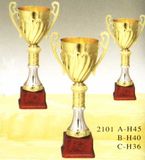 Sports Trophy