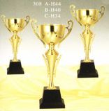 Sports Trophy