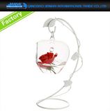 Hanging Ball Glass Planter Vase Terrarium Landscape Bottle