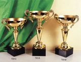 Sports Trophy