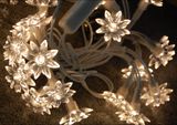 White Chrysanthemum with Decoration Light