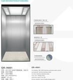 Liquid Crystal Home Lift with Hairline Stainless Steel (GR-H021)