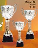 Sports Trophy