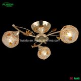 Modern Popular Indoor Pendant Light with Crystal