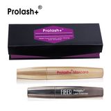 OEM Service Cosmetics 3D Mascara Set 3D Fiber Lash Mascara Set