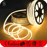 Ultra Thin Waterproof Neon Lights, LED Neon Flex Rope Lights