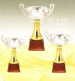 Sports Trophy