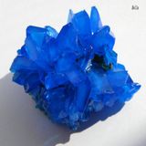 Leading Manufacturer Supply Copper Sulphate with Best Price