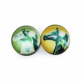 Custom Fashionable Glass Fridge Magnet for Promotion Gift Hx-7191