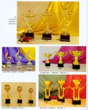Sports Trophy
