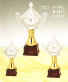 Sports Trophy