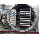 Cut Vegetable and Fruit Vacuum Freeze Dryer/Lyophilizer