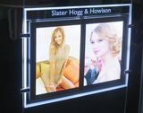 Artifical Crystal Light Box for Art Salon