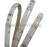 Epoxy Waterproof LED Strip Lighting (FG-LS30S3528EW)