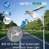 100W Solar LED Outdoor Garden Street Light