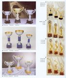 Sports Trophy