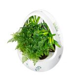 Indoor Garden with Soiless Cultivation Plant-Based Aroma Diffuser with Plasma