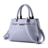 2017 New Designs PU Leather Lady Handbag (FTE-015)