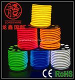 LED Decoration Neon Light for Festival