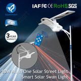 Solar LED Outdoor Street Light 100W with Solar Panel