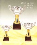 Sports Trophy