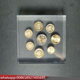 High Transparent Lucite Coin Embedment