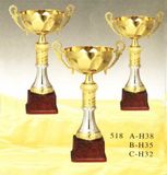 Sports Trophy