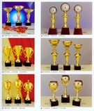 Sports Trophy