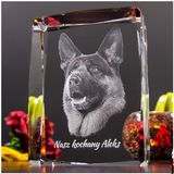 Animal Photo Engraving Crystal Cube