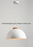Metal Pendant Light (WHP-702)