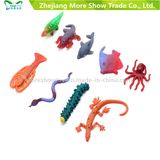 Water Growing Toy Expansion Toys Play Learn Kid   Animals   