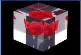 Lucite Flower Embedment Acrylic Paper Weight
