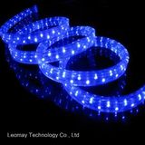Three Years Warranty Time Christmas Light IP65 LED Rope Light