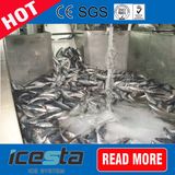 Price of 3ton Daily Capacity Slurry Ice Machine